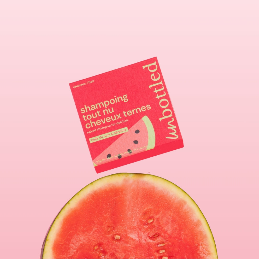 Shampoing Solide Tout Nu - Cheveux Ternes